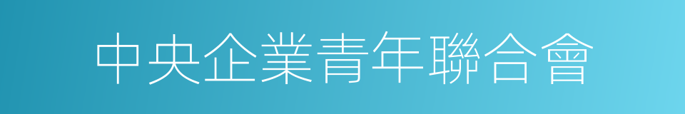 中央企業青年聯合會的同義詞