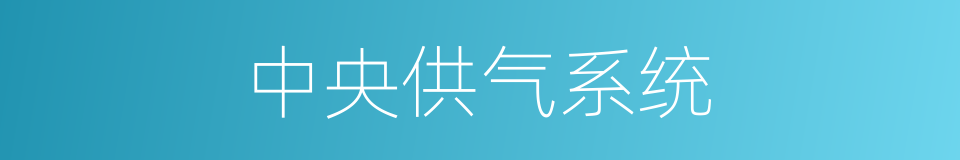 中央供气系统的同义词