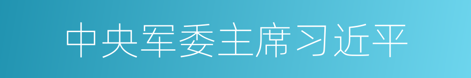 中央军委主席习近平的同义词