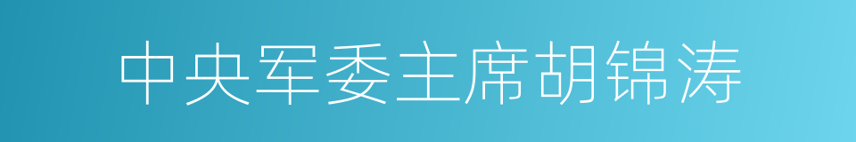 中央军委主席胡锦涛的同义词