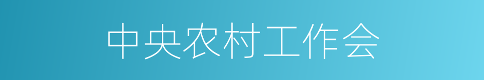 中央农村工作会的同义词