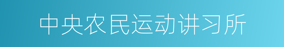 中央农民运动讲习所的同义词