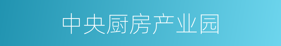 中央厨房产业园的同义词
