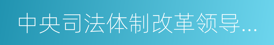 中央司法体制改革领导小组的同义词