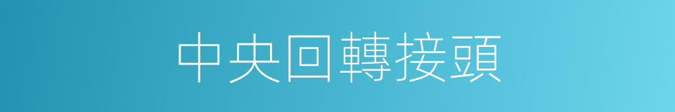 中央回轉接頭的同義詞