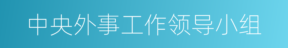 中央外事工作领导小组的同义词
