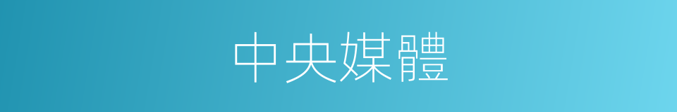 中央媒體的同義詞