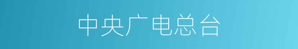 中央广电总台的同义词