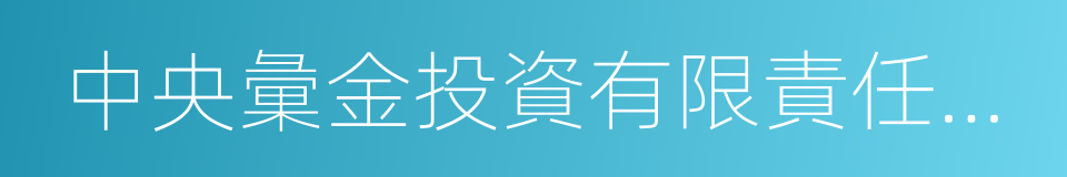 中央彙金投資有限責任公司董事長的同義詞