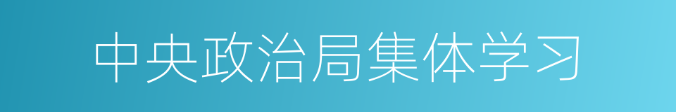 中央政治局集体学习的同义词