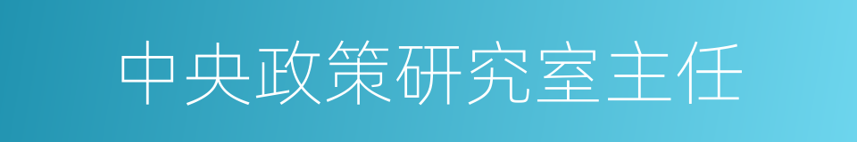 中央政策研究室主任的同义词