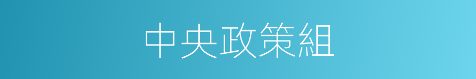 中央政策組的同義詞
