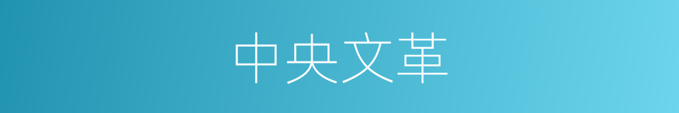 中央文革的同义词