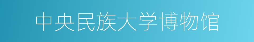 中央民族大学博物馆的同义词