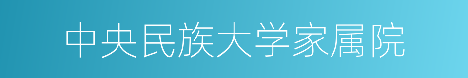 中央民族大学家属院的同义词