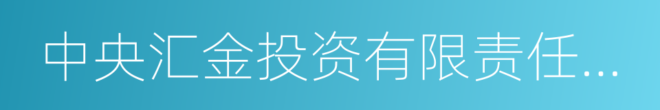 中央汇金投资有限责任公司的同义词