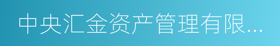 中央汇金资产管理有限责任公司的同义词