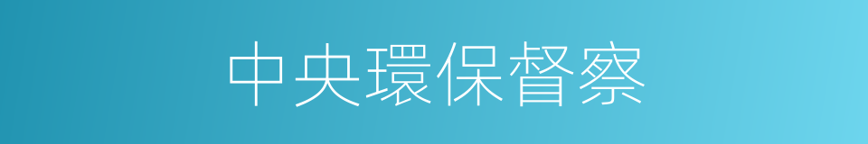 中央環保督察的同義詞
