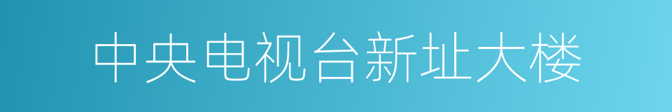 中央电视台新址大楼的同义词