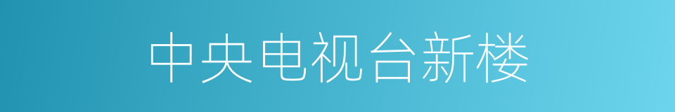 中央电视台新楼的同义词