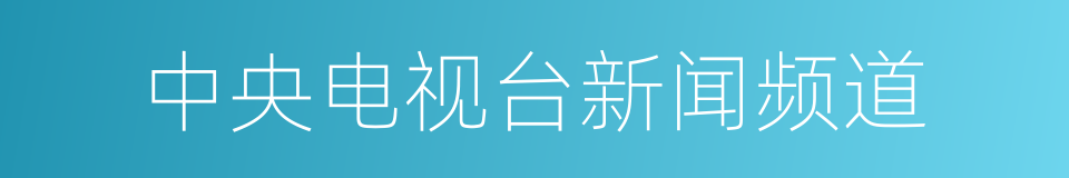 中央电视台新闻频道的同义词