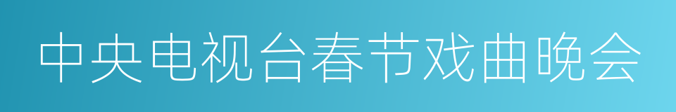 中央电视台春节戏曲晚会的同义词