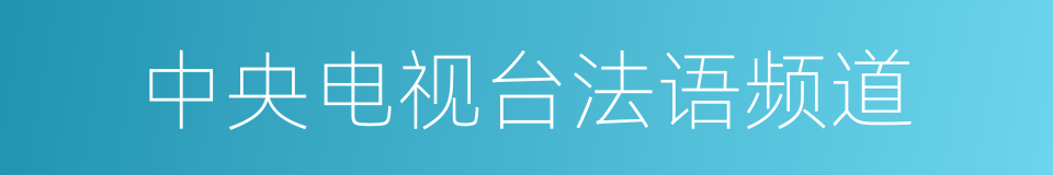 中央电视台法语频道的同义词