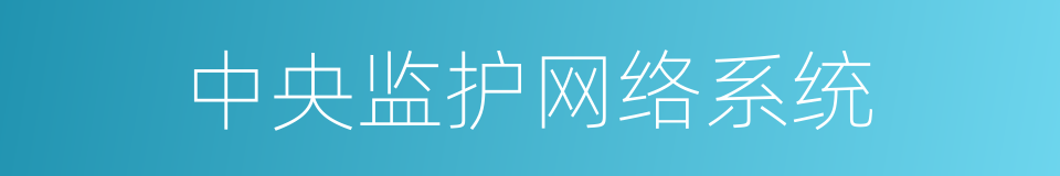 中央监护网络系统的同义词