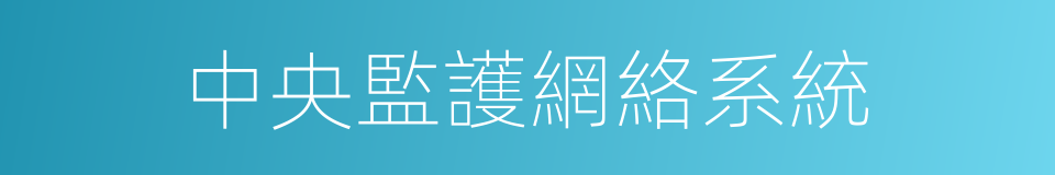 中央監護網絡系統的同義詞