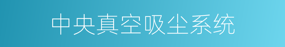 中央真空吸尘系统的同义词