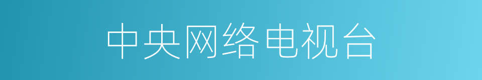 中央网络电视台的同义词
