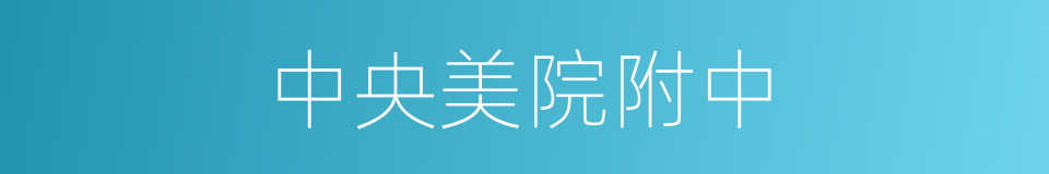中央美院附中的同义词
