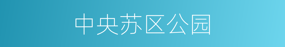 中央苏区公园的同义词
