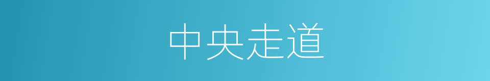 中央走道的意思