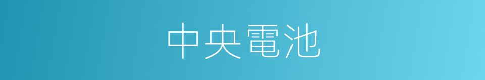 中央電池的同義詞