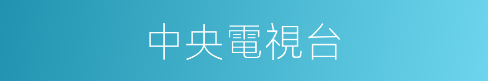 中央電視台的意思