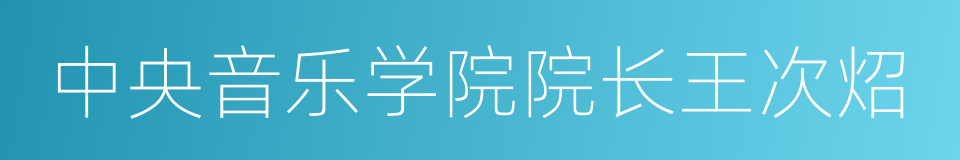 中央音乐学院院长王次炤的同义词