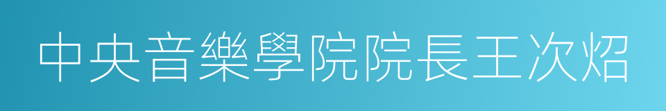 中央音樂學院院長王次炤的同義詞