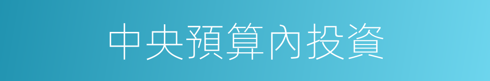 中央預算內投資的同義詞