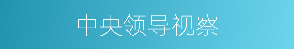 中央领导视察的同义词