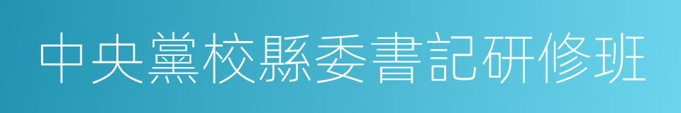 中央黨校縣委書記研修班的同義詞