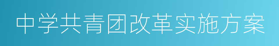 中学共青团改革实施方案的同义词