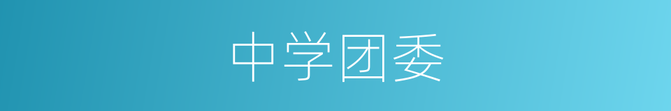 中学团委的同义词