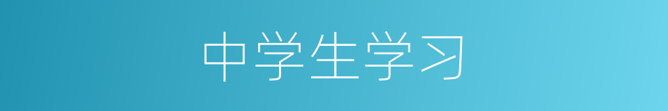 中学生学习的同义词