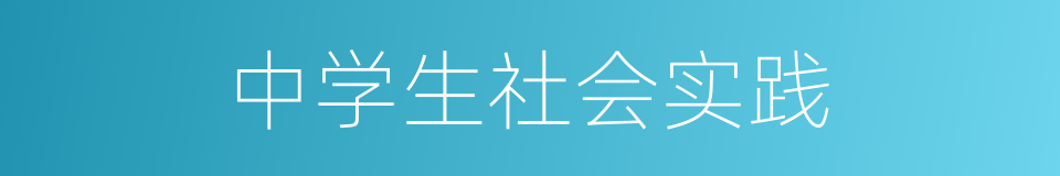 中学生社会实践的同义词
