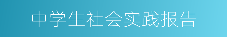 中学生社会实践报告的同义词