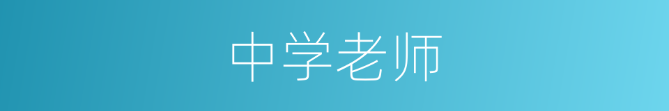 中学老师的同义词