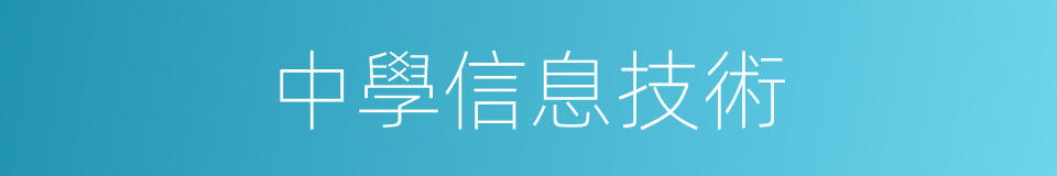 中學信息技術的同義詞
