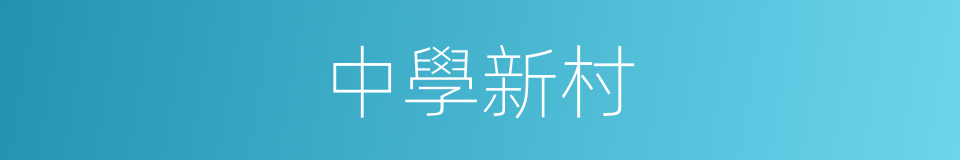中學新村的同義詞