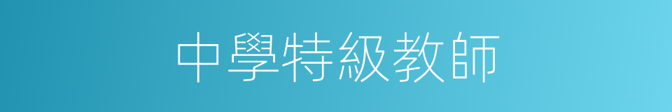 中學特級教師的同義詞